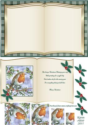 Christmas Robin Book Card Front