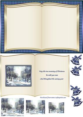 A Snowy Christmas in the Park Book Card Front