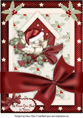 The Little Christmas Sparrow A4 Card Front