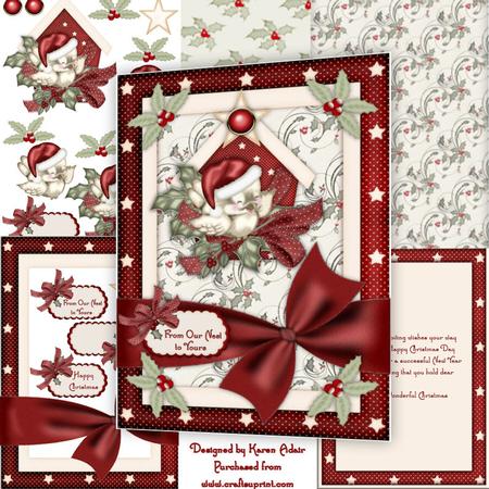 The Little Christmas Sparrow A4 Card Kit