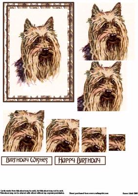 Yorkshire Terrier Spiral Pyramid