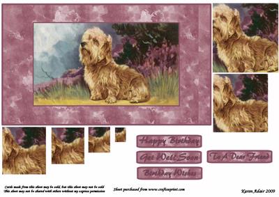 Faithful Friend
