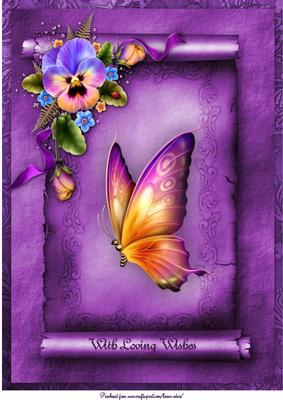 Fanciful Pansies A4 Card Front
