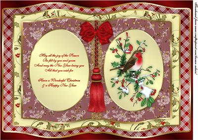The Christmas Robin A4 Book Card Front