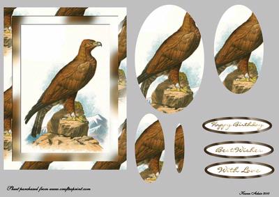 Golden Eagle Pyramid Card Front