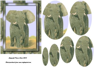 Elephant in Pastels, Pyramid Card Front