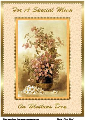 Mothers Day Clematis