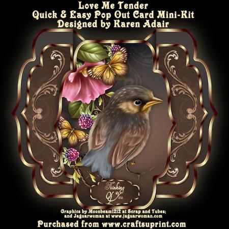 Love Me Tender Quick & Easy Pop-out Card Mini-kit