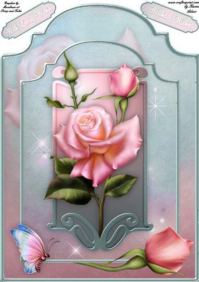 La Rosa - A4 Shaped Card Front