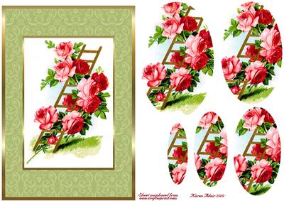 Climbing Roses - Pyramid Card Front