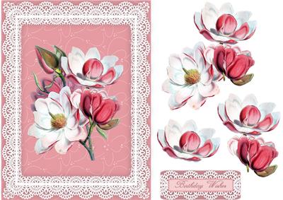 Magnolia Blossoms 'n Lace