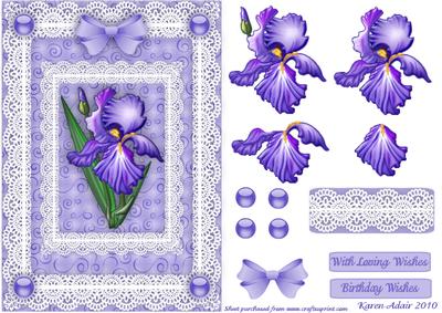 Iris 'n Lace Step by Step Caerd Front