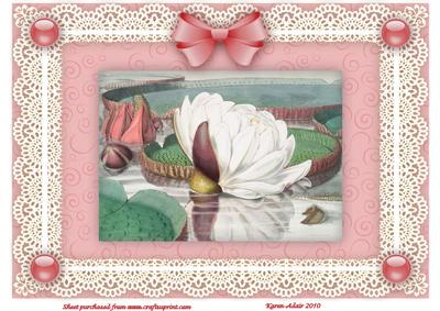 The Water Lily 'n Lace A4 Card Front