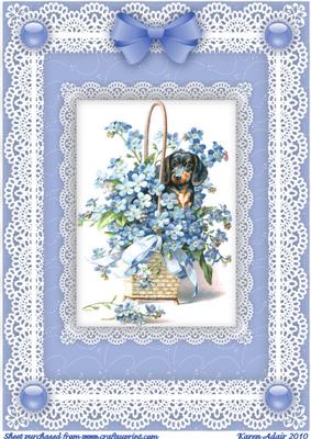 Forget Me Nots, Puppy 'n Lace A4 Card Front