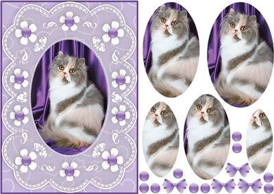Kute Kitty 'n Lace A5 Pyramid Card Front