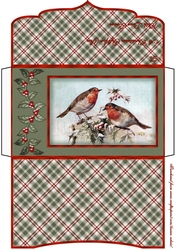 Christmas Robins - Christmas Money Gift Envelope