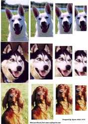 Dogs - Pyramid Toppers 2