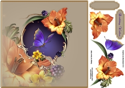Gladioli Glamour