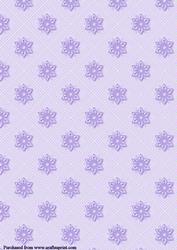 Stars 6f