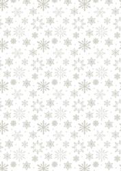 Silver Snowflakes Background Paper