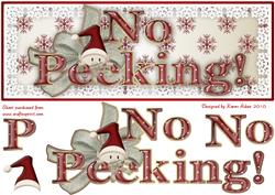 No Peeking! Large Dl Sized Card Front and Step by Step