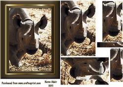 Rambling Rhino Pyramid Card Front