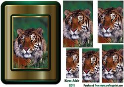 Top Tiger Pyramid Card Front