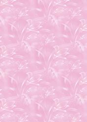 Lillies in Pink Background Paper