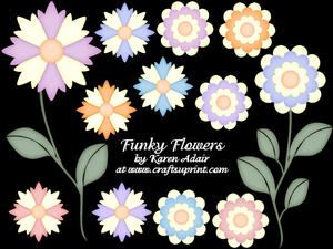 Funky Flowers
