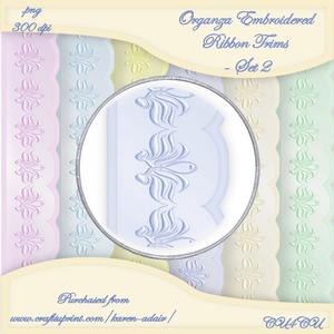 Organza Embroidered Ribbon Trims - Set 2