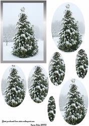 Snowy Cypress Tree