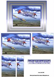 The Mustang
