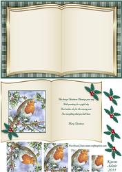 Christmas Robin Book Card Front