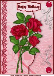 Roses Are Red Faux Envelope A4 Card Front