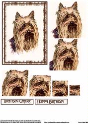 Yorkshire Terrier Spiral Pyramid