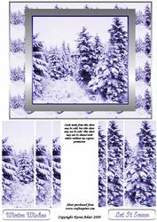 Winter Forest