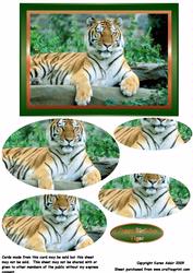 Tiger Pyramid Card Front