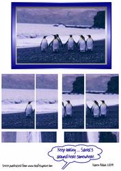 Penguins Looking for Santa 3