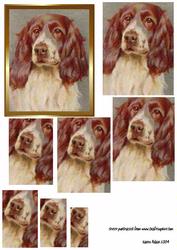 Spaniel Spiral Pyramid Card Topper