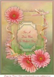 Gentle Gerberas A4 Card Front