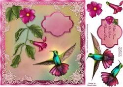 The Hummingbird
