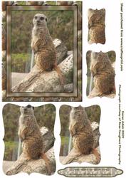 Meerkat Birthday Greetings - Bracket Pyramid Card Front