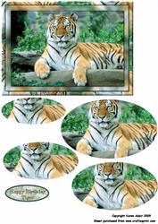 Tiger - Pyramid Card Front