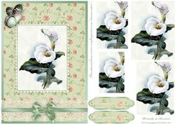 Cala Lilies Pyramid Card Front