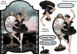 The Black Swan Screen Card
