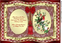 The Christmas Robin A4 Book Card Front