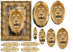 I'm Not Lion