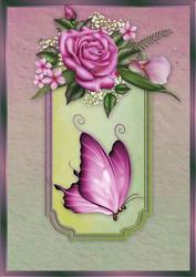 Delightful in Pink A4 Card Front
