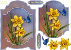 Daffodil Days Screen Card Front with Step by Step