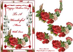 Roses for Mothers Day
